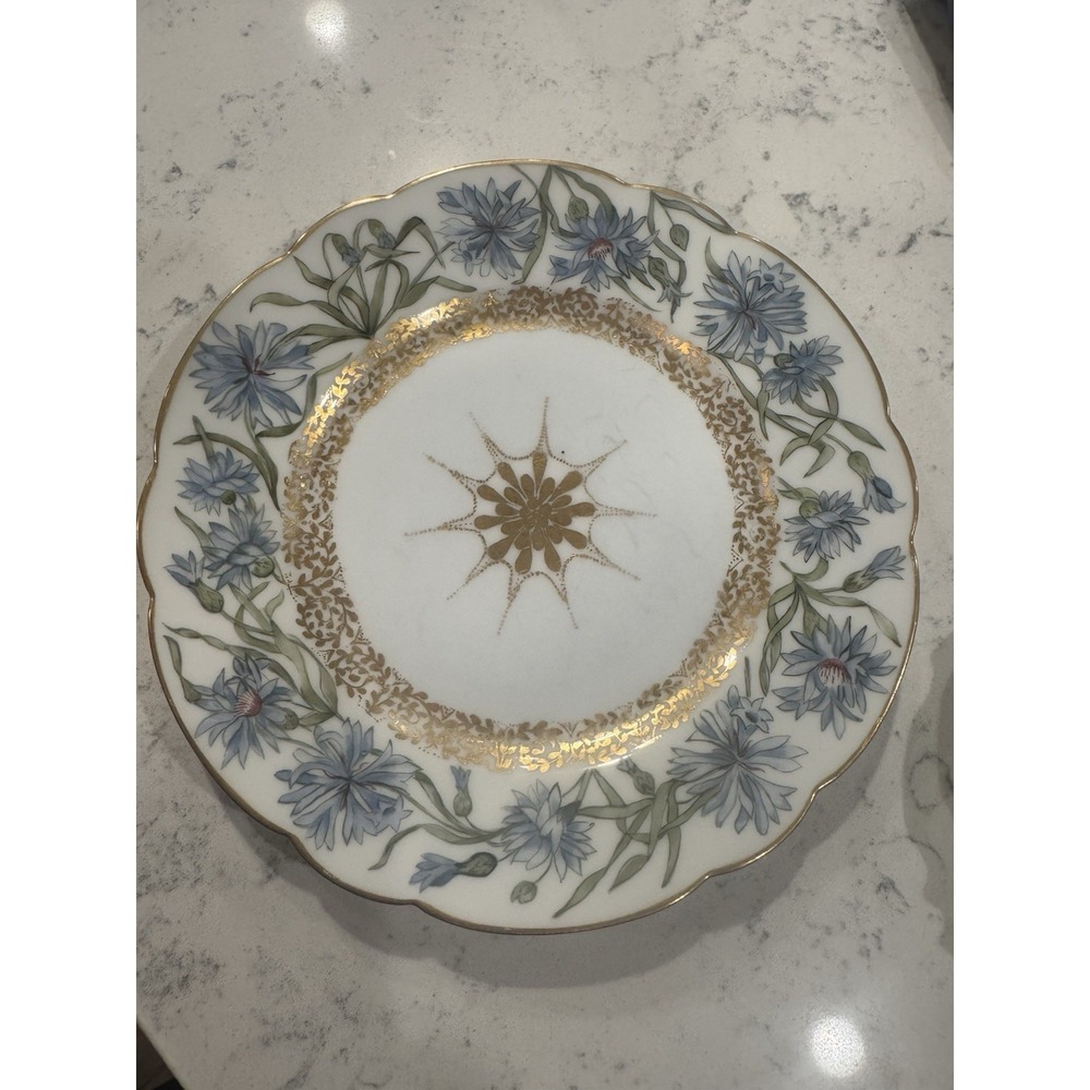 Haviland Limoges France Antique Porcelain Plat Hand-Painted and Signed